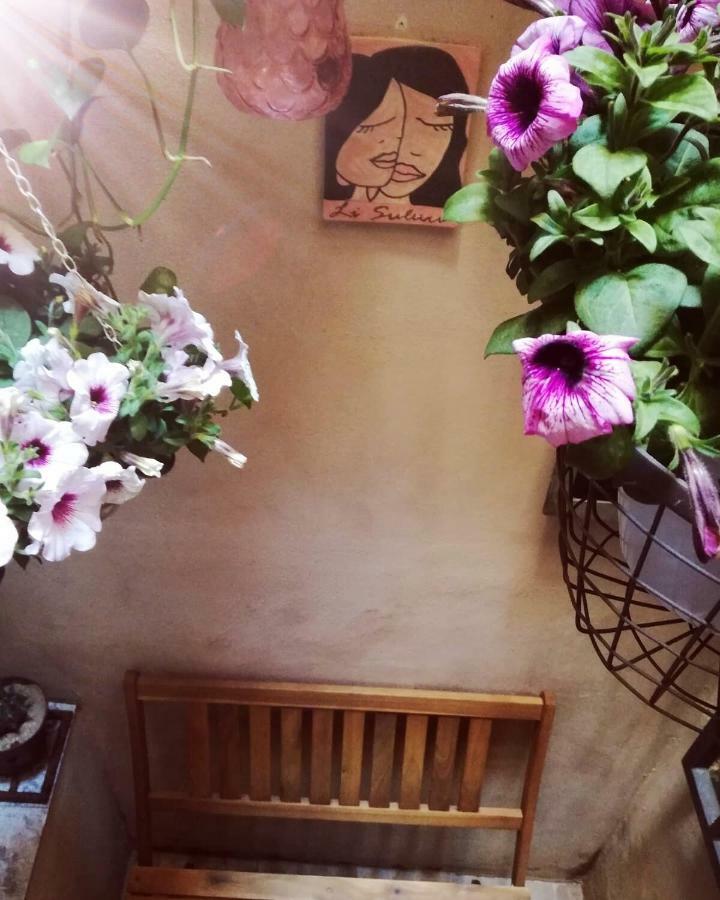 Li Suluri Bed & Breakfast Лече Екстериор снимка